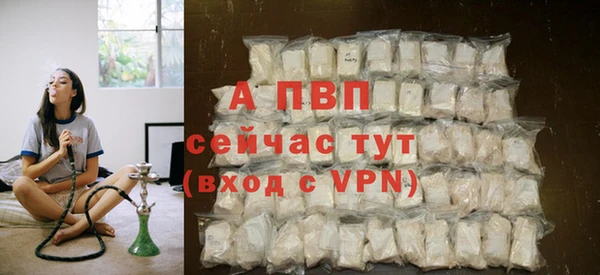 дживик Киров