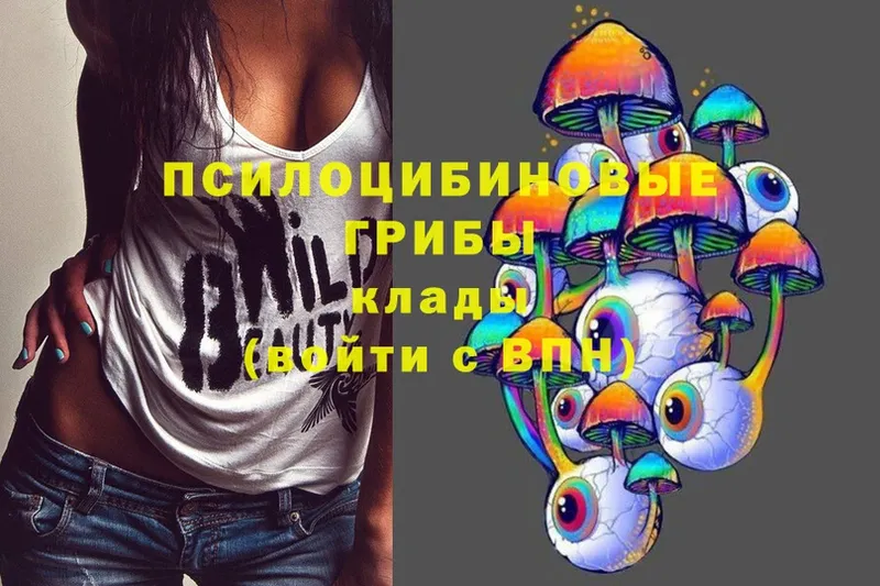 Галлюциногенные грибы MAGIC MUSHROOMS  Балабаново 